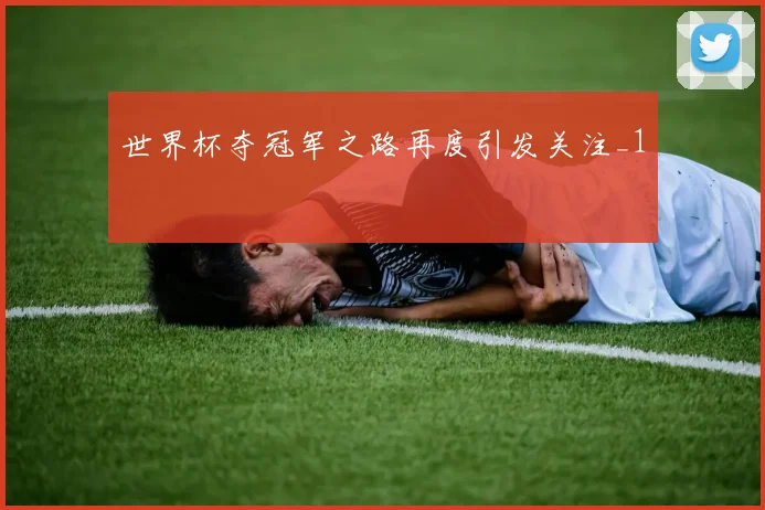 世界杯夺冠军之路再度引发关注_1