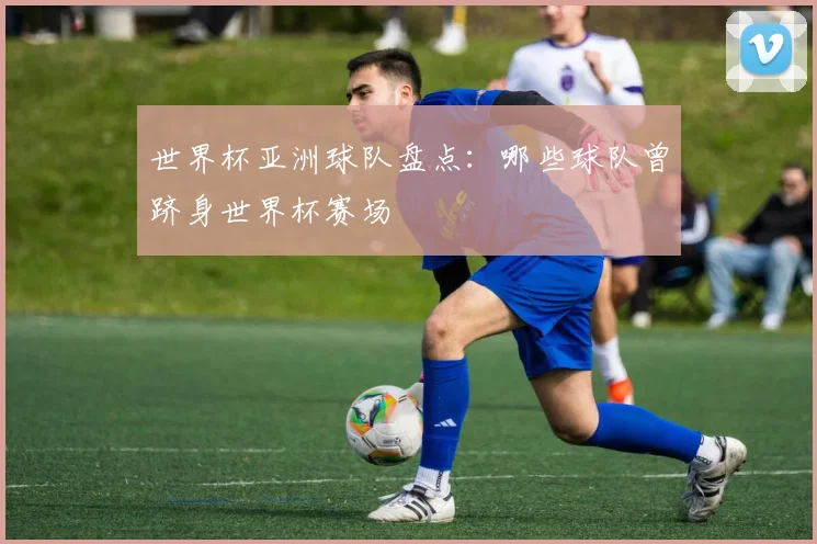 世界杯亚洲球队盘点：哪些球队曾跻身世界杯赛场