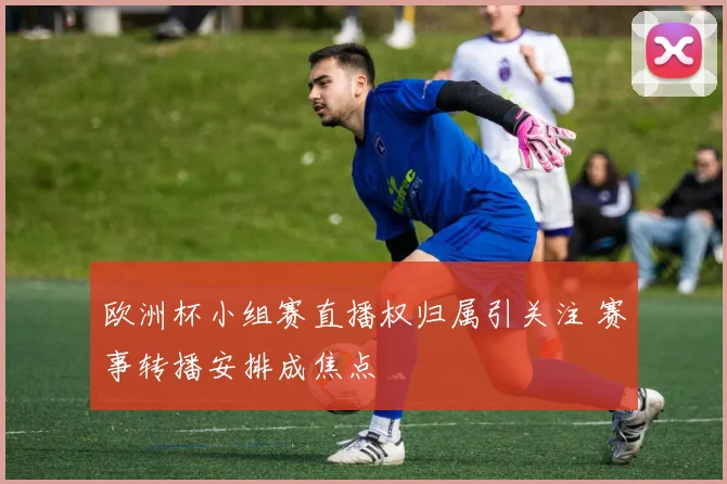 欧洲杯小组赛直播权归属引关注 赛事转播安排成焦点