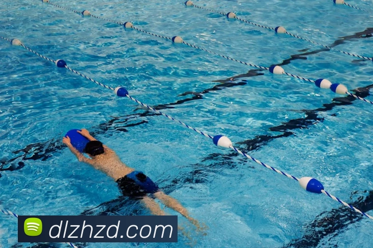 世界杯官方入口发展历程